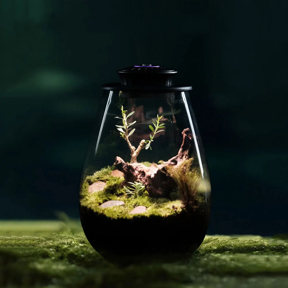 

Fern Moss Micro-Landscape Grow Light 6500K Micro Landscape Plant Growth Lamp Plant Grow Light for Miniature Gardening Landscape