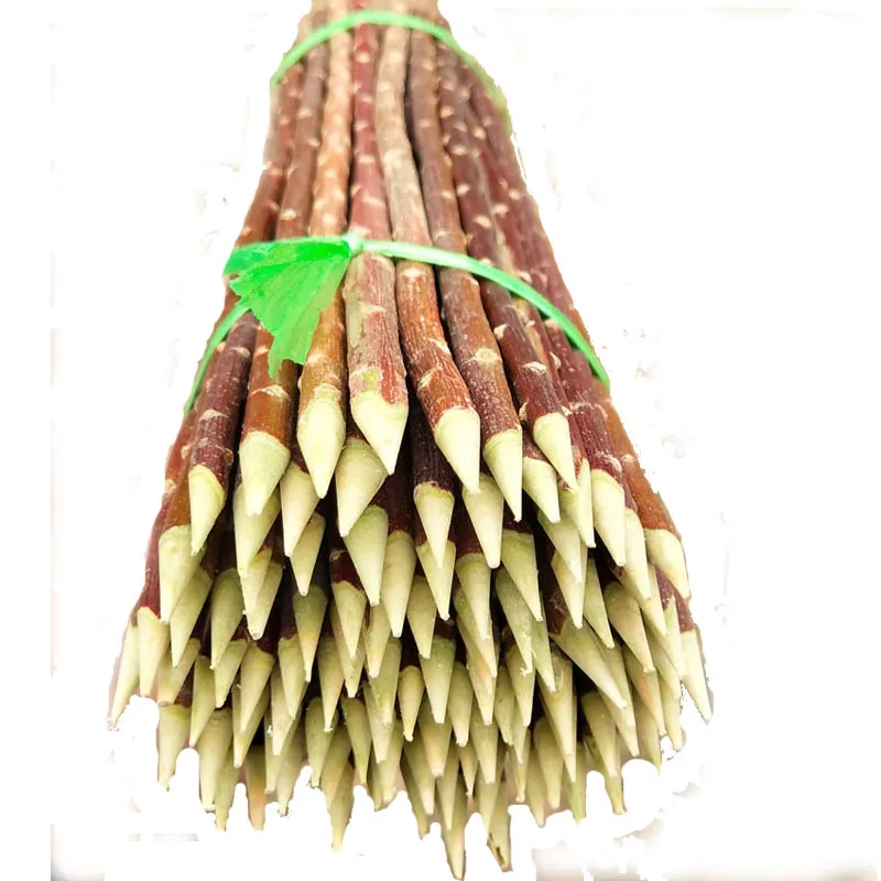 Wholesale Xinjiang Red Willow Sign Red Willow Branch Barbecue Mutton Shabab Barbecue Sign Barbecue Needle Wood Sign Postage Pack