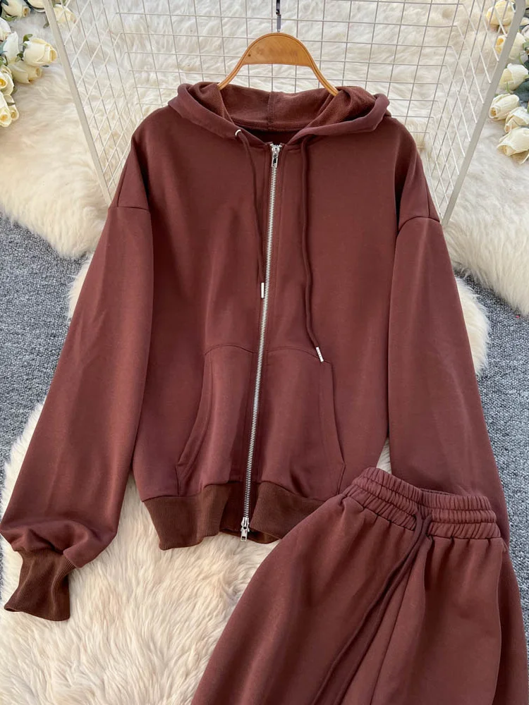 Conjunto deportivo informal de dos piezas para mujer, sudadera de cintura alta Jaet Long Sve, prendas de vestir exteriores con capucha, corte holgado, Faion de otoño