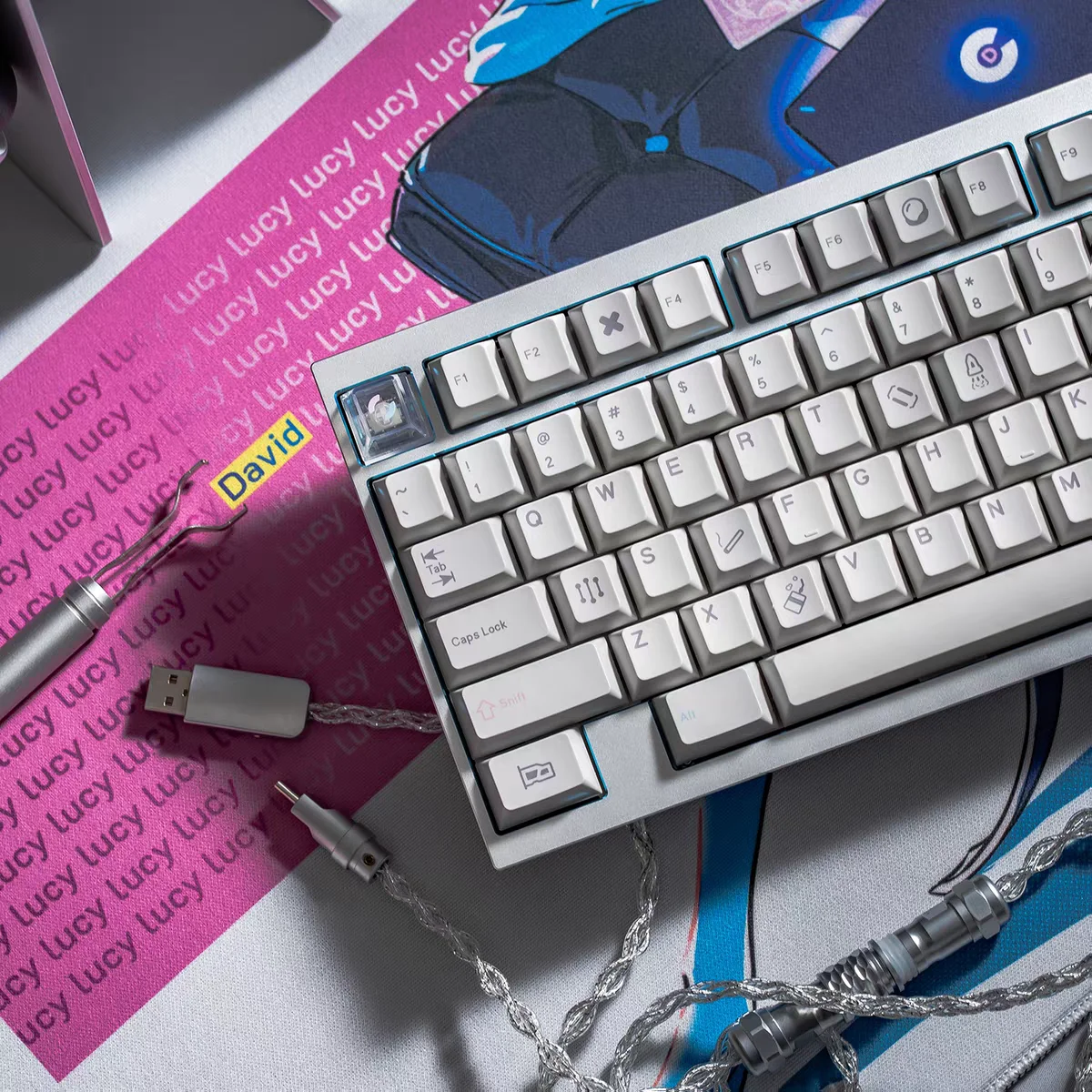 PBTfans Lucy R2 Keycaps Set Custom PBT Sublimation ABS Cherry Profile Keyboard Caps Mechanical Keyboard Accessories MX Switches