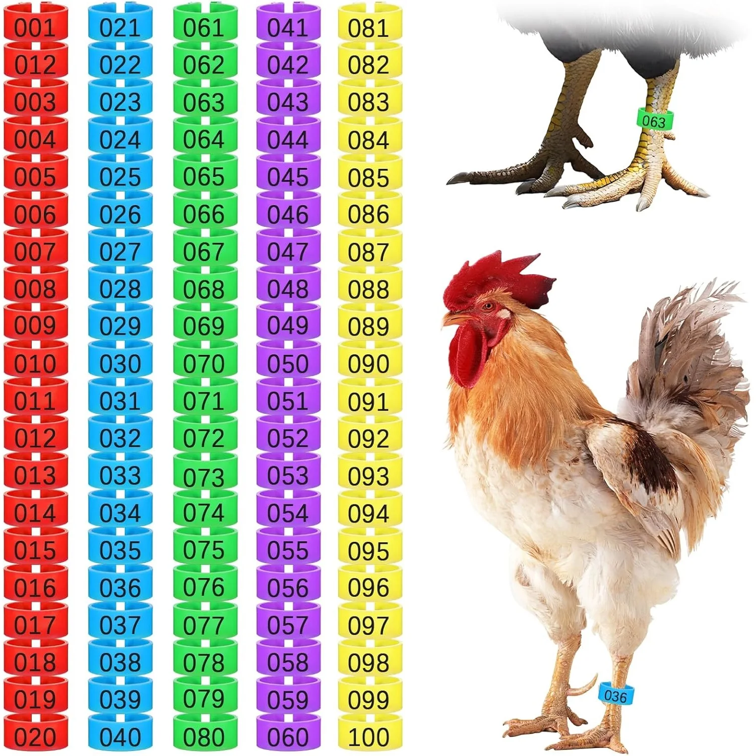 100Pcs Chicken Leg Bands, 16mm Colours & Number Coding Chicken Identification Tags for Legs, Poultry Leg Bands for Ducks, Chicks