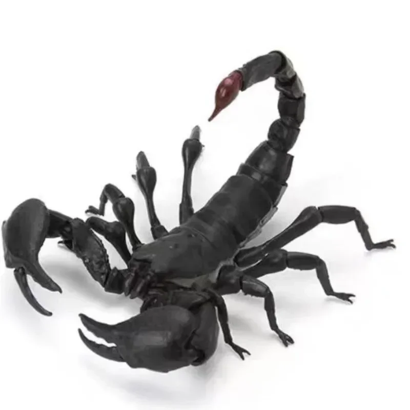 

Bandai Assembled Gacha Creature Big Picture Book Scorpion Red Claw Emperor Scorpion Israel Golden Scorpion Model Ornament