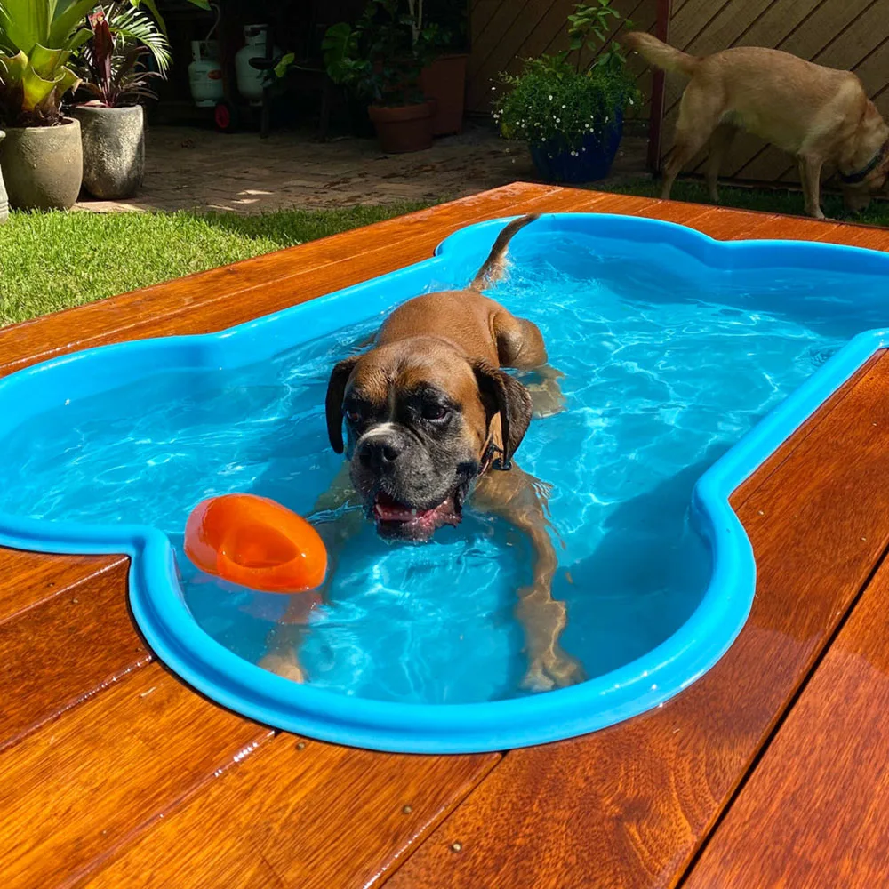 Wholesale Customized Size Outdoor Inground Children Small Dog Pool Pet Fiberglass Diving Piscina Above Ground Swimming Pool