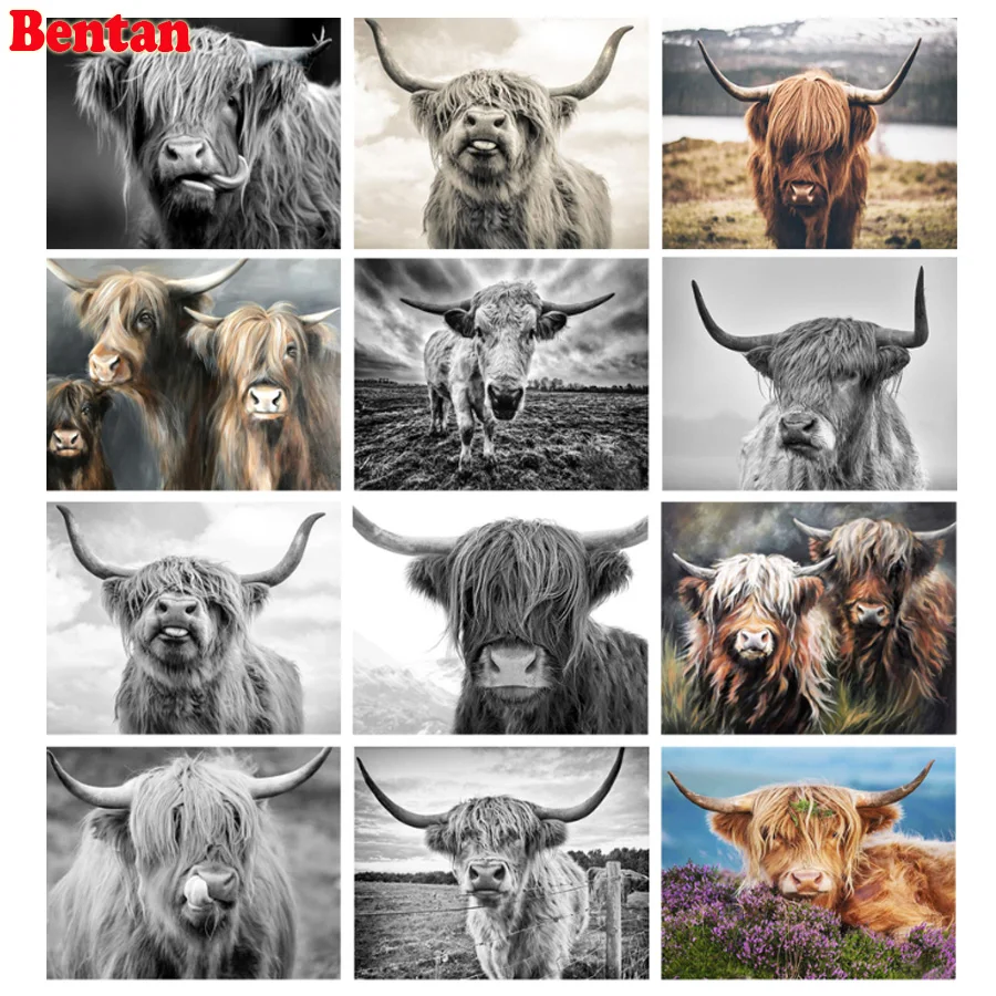 Highland Cow 5d diy diamond painting square diamond embroidery full round of drill mosaic Black White Animals Puzzle Picture