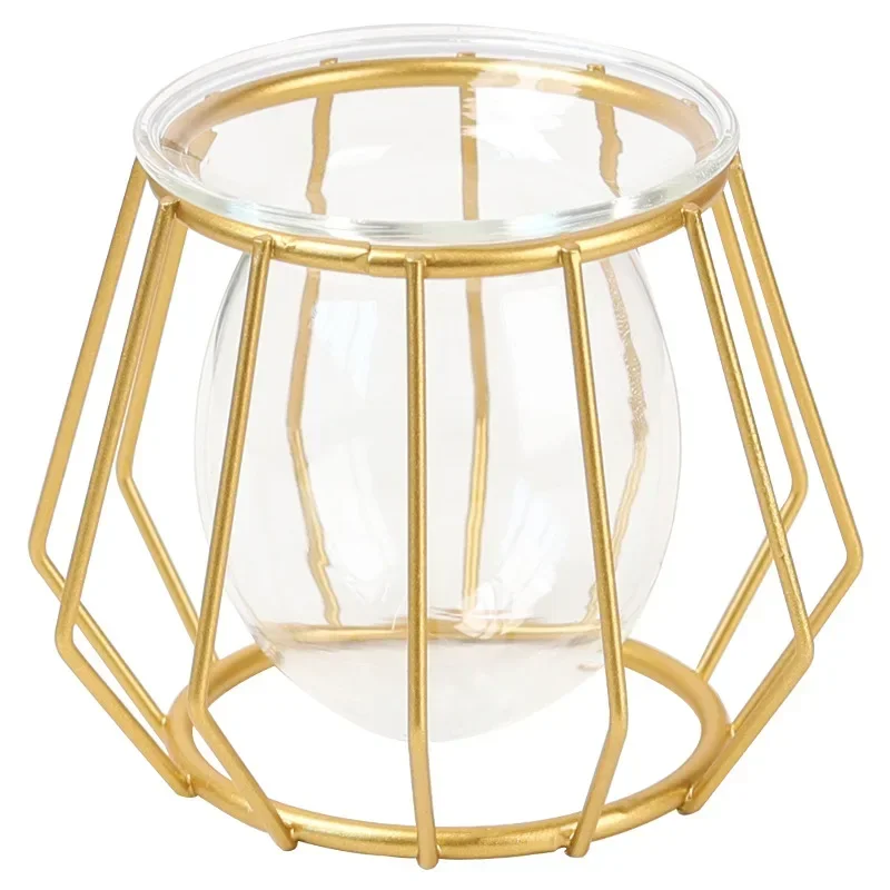 

Plant Holder Vase Metal Terrarium Geometric Nordic Golden Glass Vase Iron Line Vase Hydroponic Plant Flower Home Decor Modern