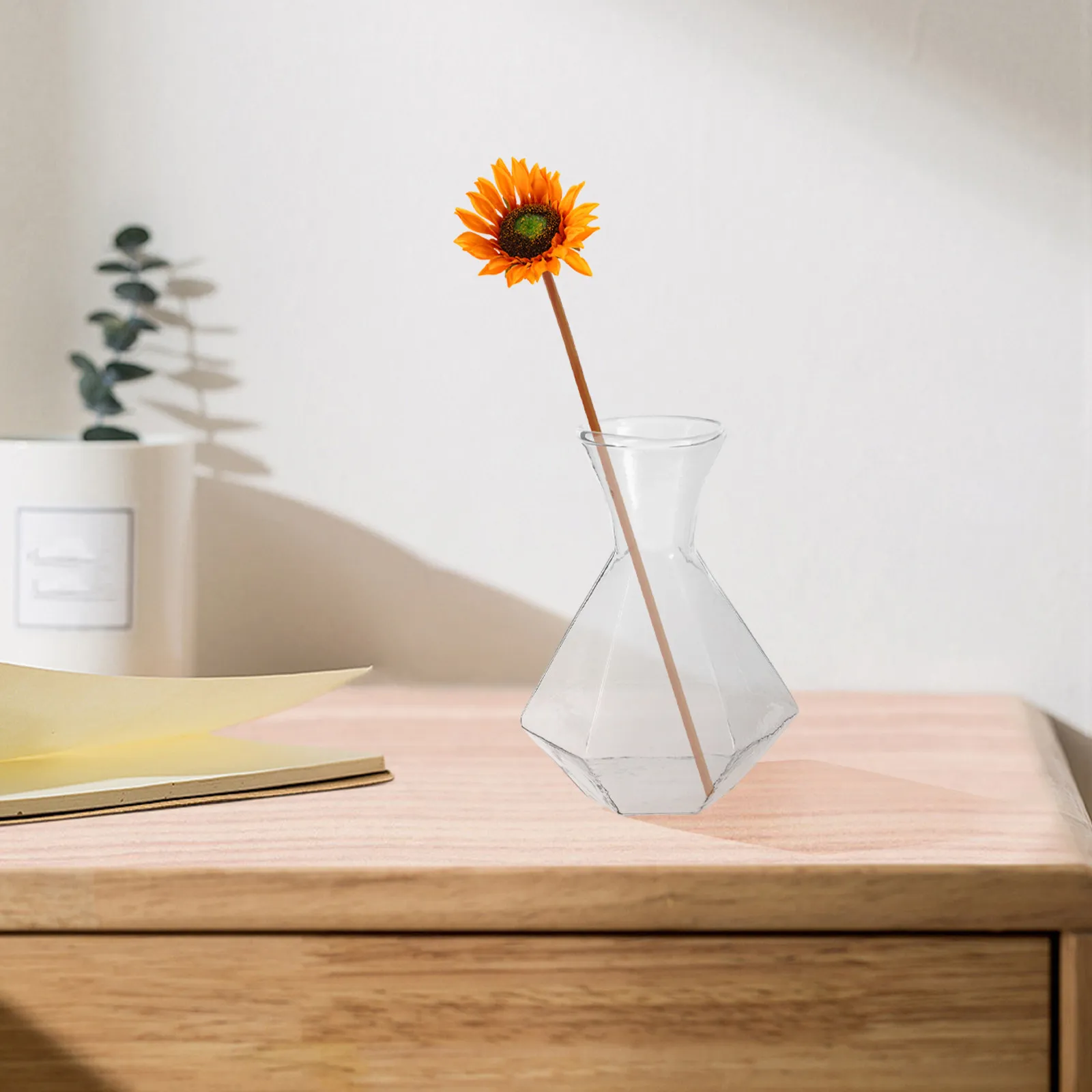 2Pcs Glass Vase High Borosilicate Transparent Decorative Planter for Home Office Hydroponic Propagation Table Centerpiece