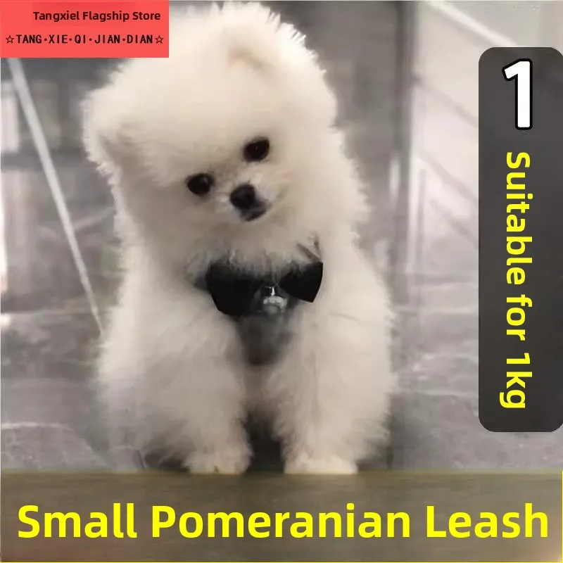 

Очаровательный зимний жилет-шлейка для собак с узлом, для маленьких пород, таких как померанский шпиц, для прогулок, милые зоотовары