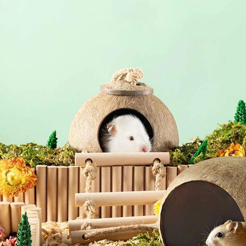 

Hamster Coconut Shell House Hideaway Summer Sleeping Nest Cage Ornament for Syrian Hamster Bird Reptile Pet Supplies