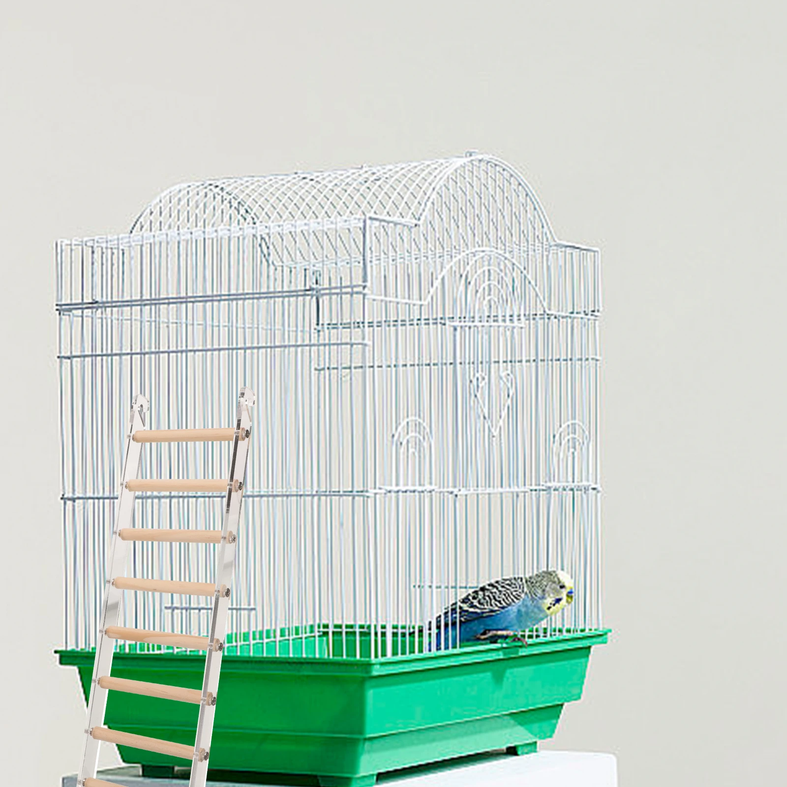 

Acrylic Ladder Bird Toy Climbing Parrot Frame for Cockatiels Tearing Toys Small