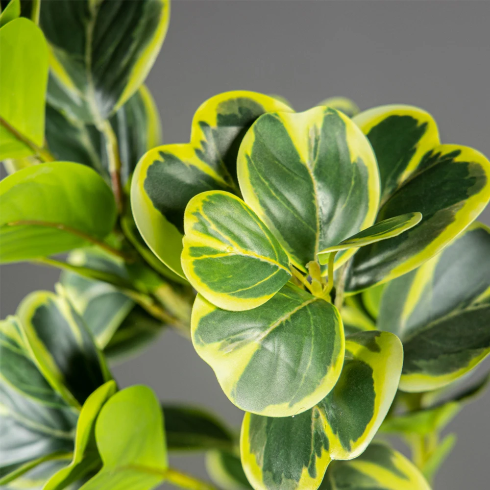 Sztuczny drzewko figowe 76cm/1 – Rubber Plant Ficus recenzja i cena