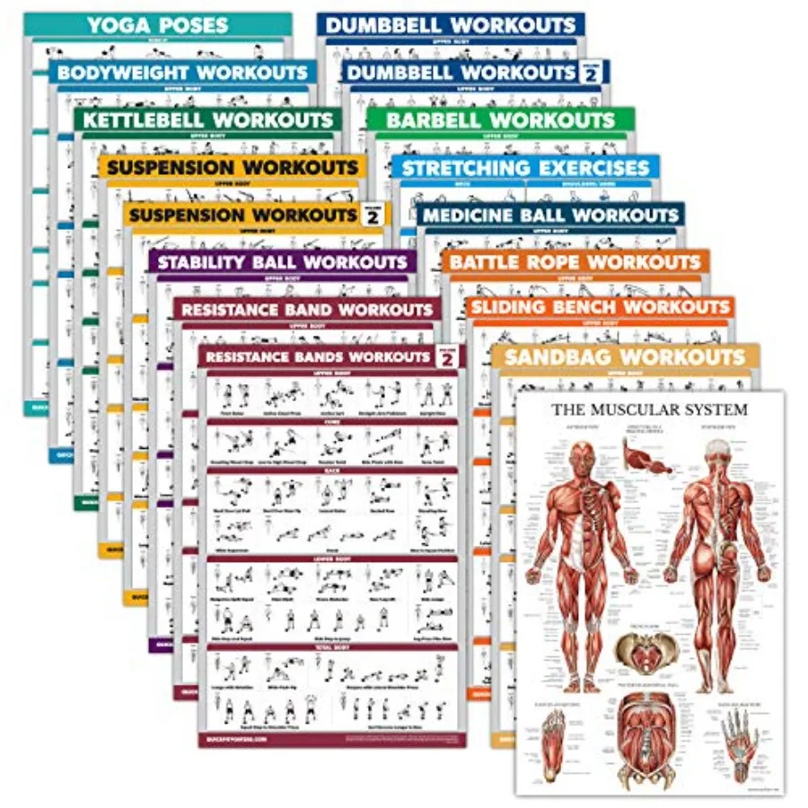 

17 Pack - Exercise Poster Set: Dumbbell, Suspension, Kettlebell, Muscular, Medicine Ball, Battle Rope, Resistance Bands, Stretc