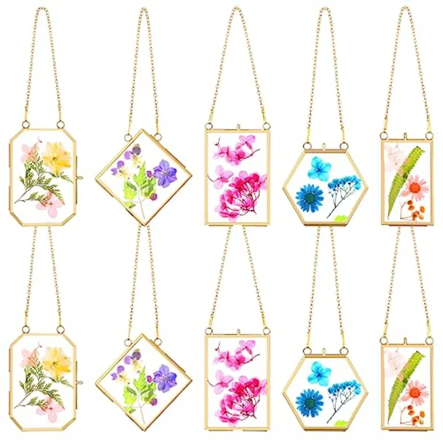 

10 Pcs Glass Frame for Pressed Flowers 5 Different Shapes Brass Hanging Picture Frame with Chain Pressed Flower Glass Photo Fra