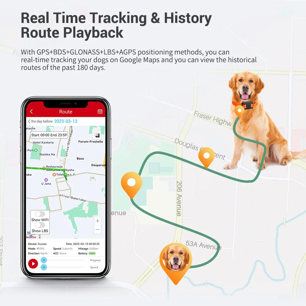 Ios Android Micodus MP50G IPX7 Allarme di movimento impermeabile Smart Real Time Gps Collare per cani Animali domestici Tracker 4G