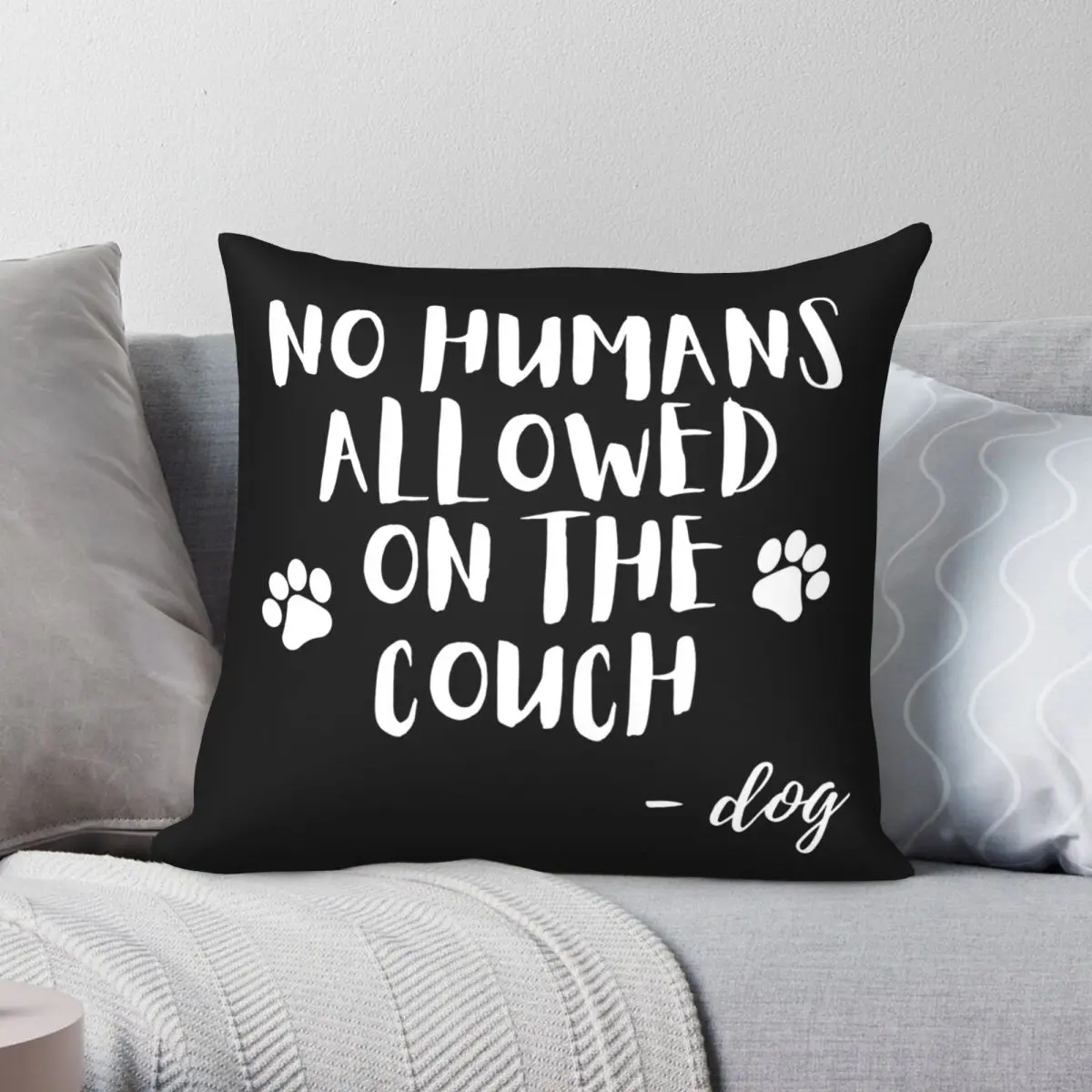 No Humans Allowed On The Couch White Pillowcase Polyester Linen Velvet Creative Zip Decor Pillow Case Bed Cushion Cover 18