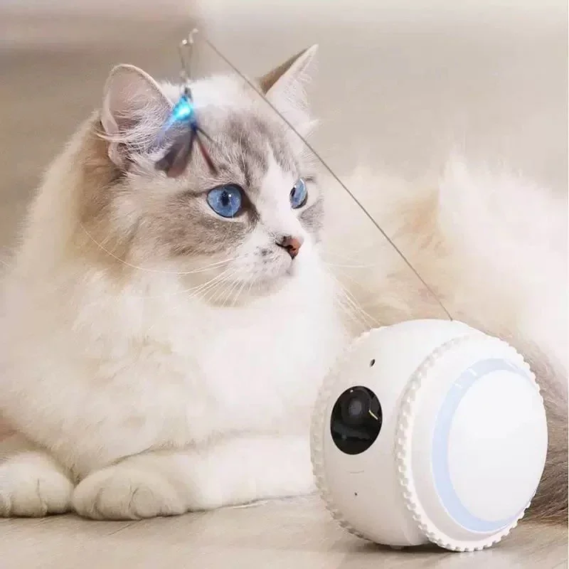 Intelligent Pet Toy Smart Automatic Interactive Rolling Ball Cat Toy with HD Camera Stocked Feature