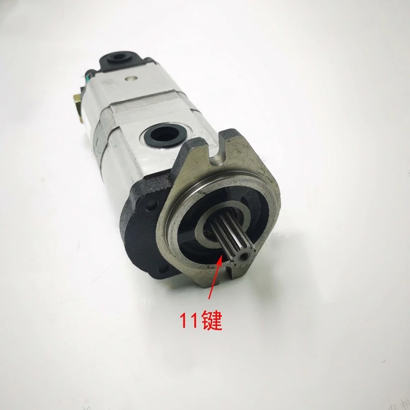 Foton Lovol Leopard Tractor Dual Pump Gear Pump 11 Key Hydraulic Pump