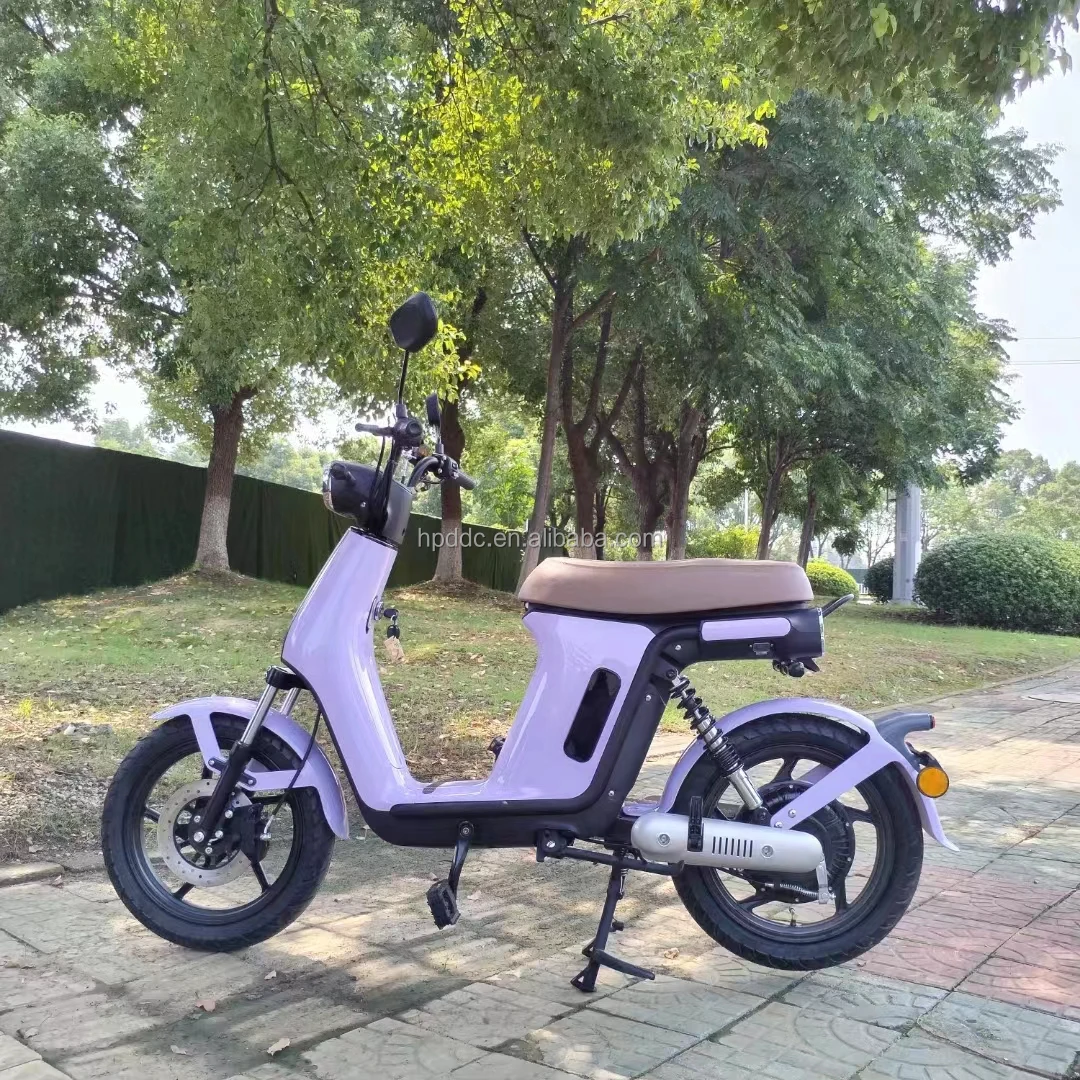 EEC Scooter 500W 52Ah Lithium Battery Electric Scooter Cargo Delivery Long Driving Electric Moped Rear Box Optional E Bike