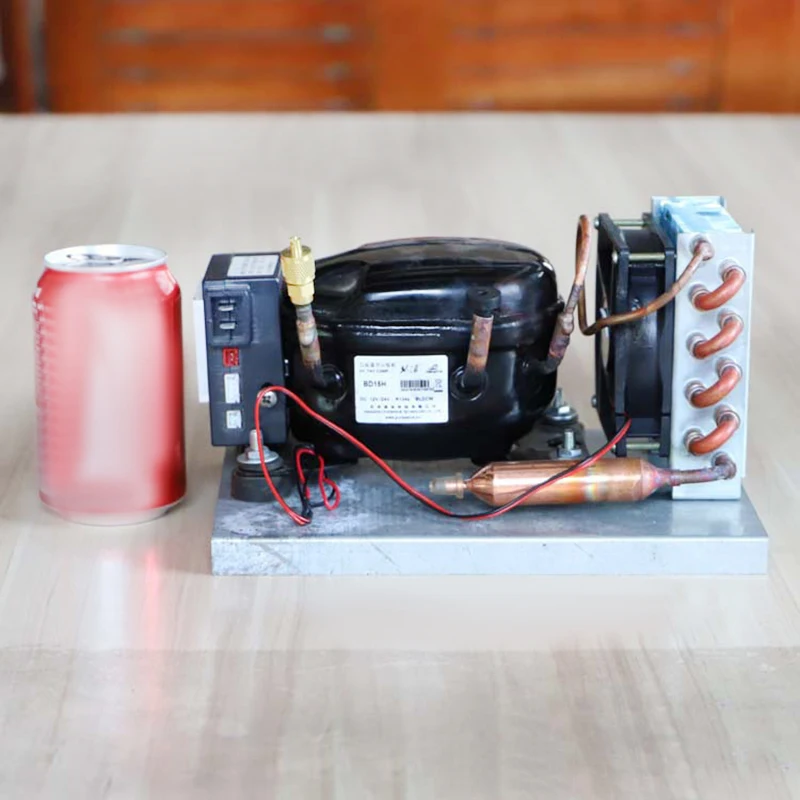 Air Cooled BD15HC DC Condensing Compressor Unit Support 12V 24V Dual Voltage For RV Car Solar Energy Powered Small Freezer Use