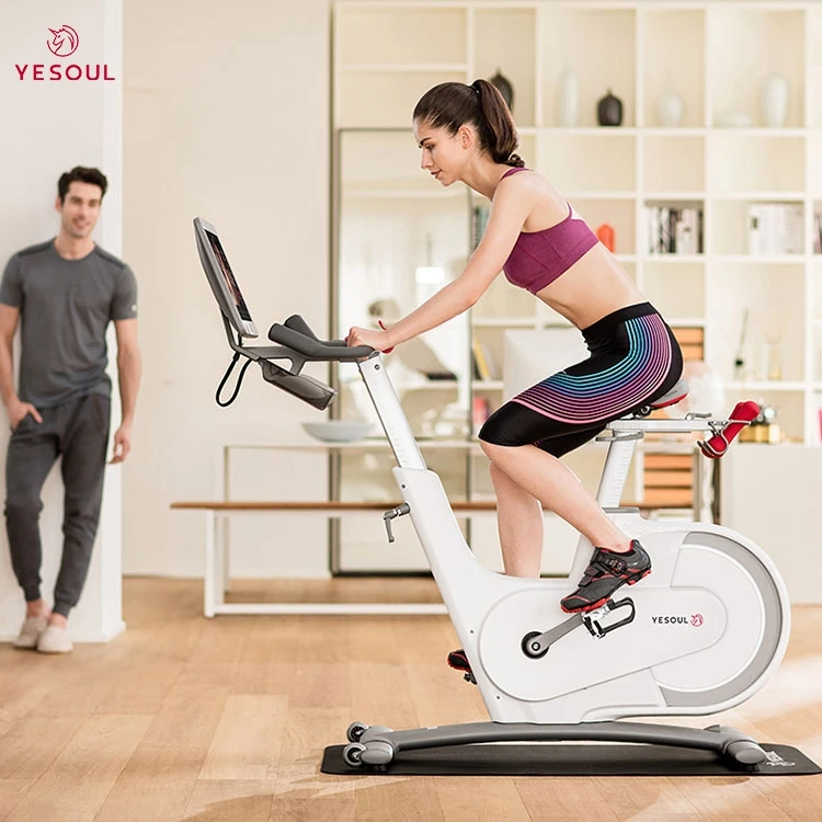 Yesoul V1 PLUS Xiaomi OEM factory original exercise bike, magnetic stationary bike with App, low-noise indoor bike