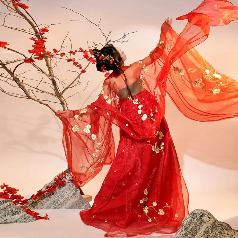 Backless Hanfu Women Golden Plum Floral Embroidery Sheer Chiffon Wide Flowing Sleeve Long Maxi Traditional Fairy Dress