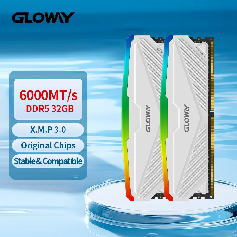 Gloway DDR5 RAM 32GB 16GB 6000MHz 5600MHz 5200MHz Memoria Ram 16GBx2 Desktops XMP3.0 Memory Ram DDR5 RGB Diy Daming Computer