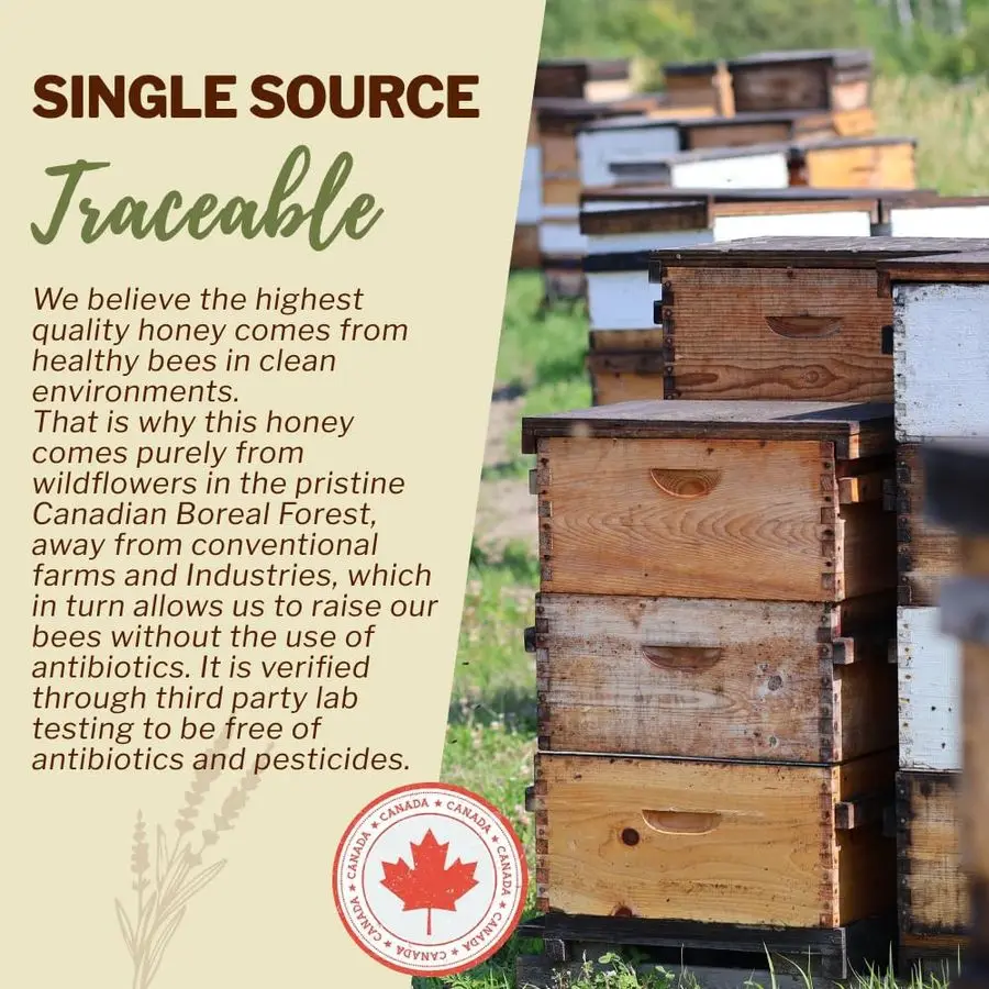 100 عسل الزهور البرية الكندية 6.6 رطل، أمبير غير ساخن، مغذي كريمي، مُحلي طبيعي مع إنزيمات سميكة أمبير نقية خام Unfi