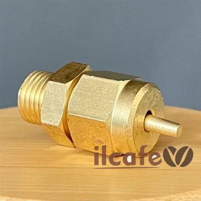 

БОЙЕРНЫЙ КЛАПАН ø 1/4"M ВАКУУМНЫЙ КЛАПАН ECM, BEZZERA, GRIMAC