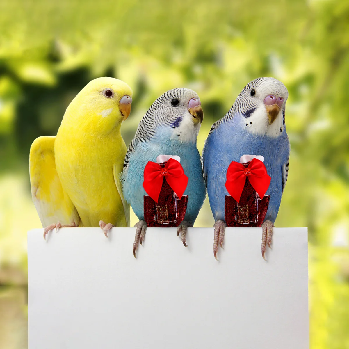 

1Pcs Parrot Flying Diaper Bird Clothes Cotton Reusable Soft Breathable Bird Flight Suit Pet Supplies Absorbent Waterproof