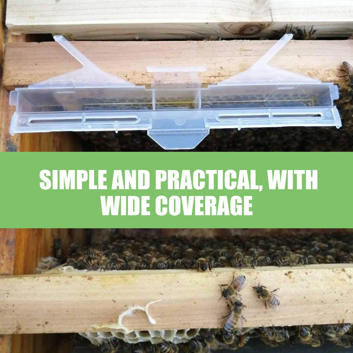 12pcs Beetle Trap Reusable Plastic Honeycomb Design Portable Beekeeping Tool Prevent Harm Wide Coverage Garden Supplies