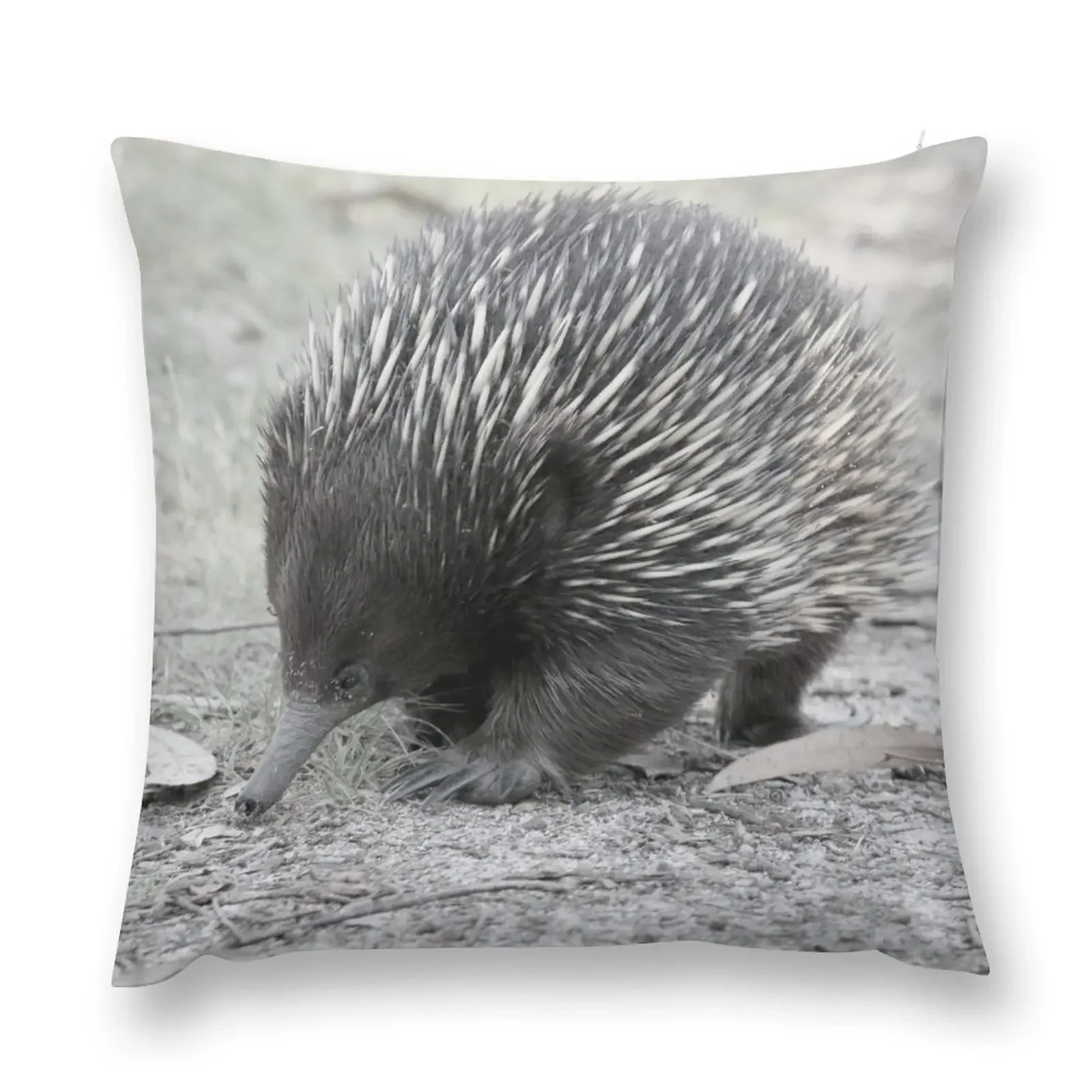 Echidna Throw Pillow Cushions For Children Sofa Covers pillow