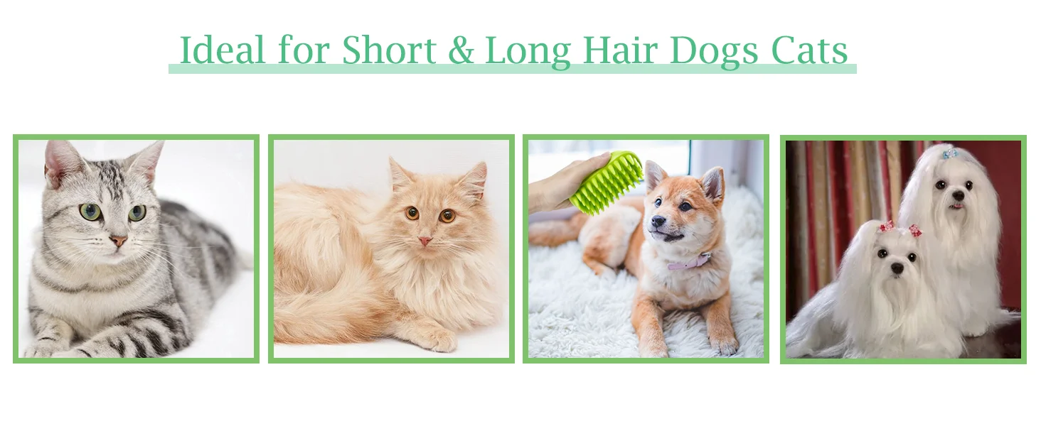 dog scrubber for bath