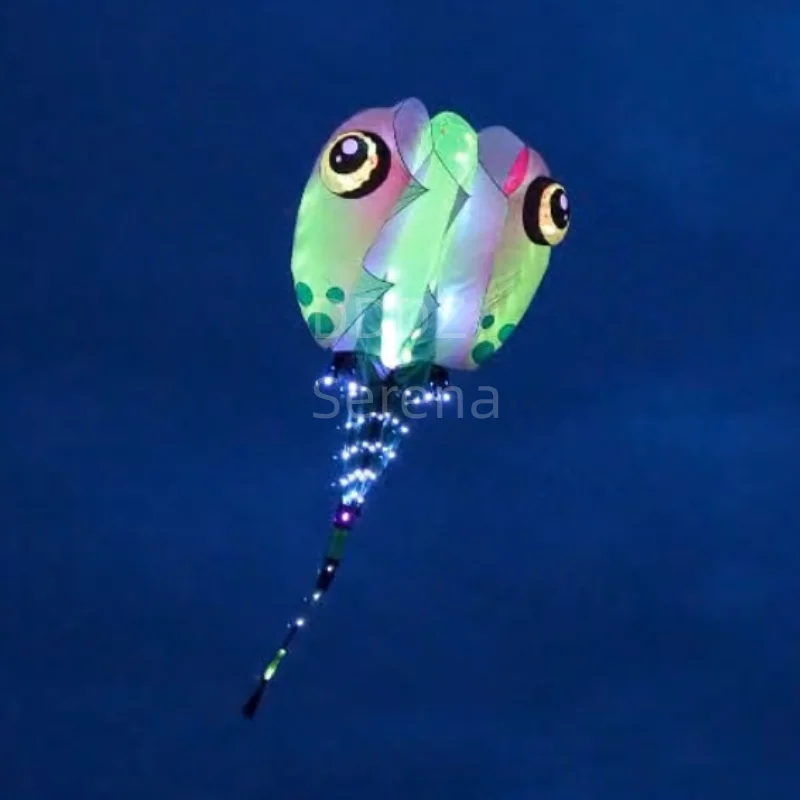 

DDDZ 13square LED tadpole MLS брендовый пилотный подъемный змей с плоским хвостом, демонстрационный змей 30D Ripstop, нейлоновый надувной змей с дистанционным управлением