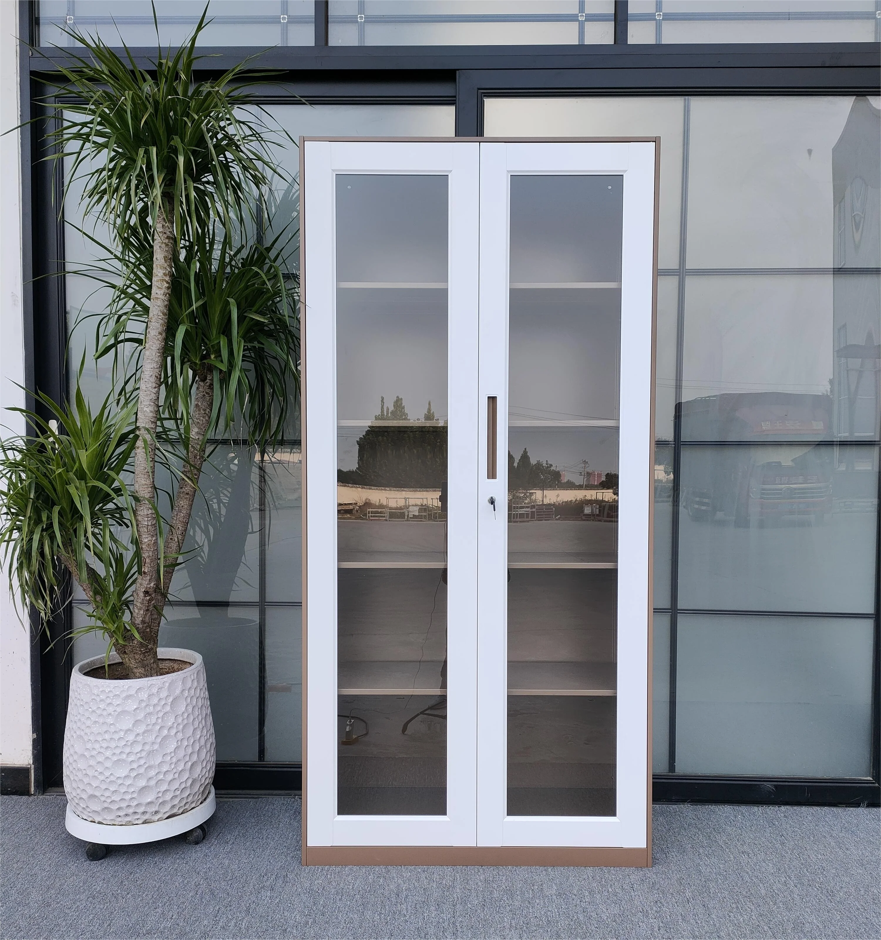 خزائن تخزين مكتبية معدنية باب زجاجي خزانة ملفات خزانة تخزين باب زجاجي متأرجح خزانة تخزين الملفات #4