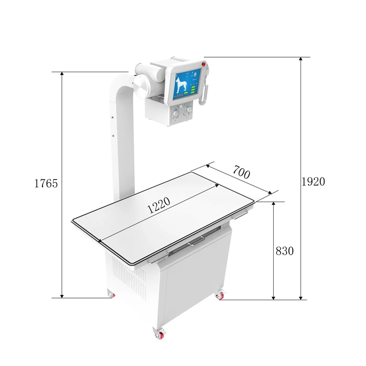 20KW 32KW 300mA 400mA 125KV Digital Fixed Double Column X-ray Machine Vet Use DR System