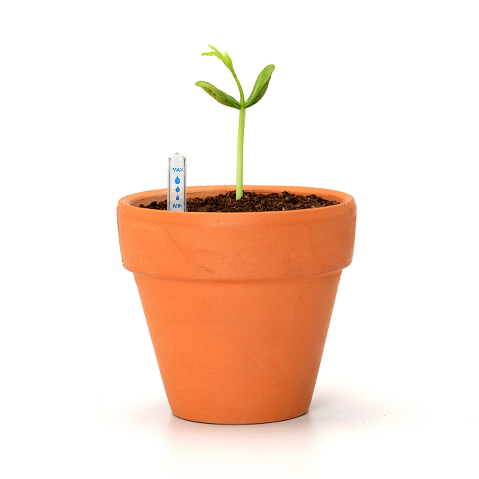 

5Pcs Water Level Indicator Caps Clear Float Tips for Garden Plant Watering Display Protection Replacement Accessories Sturdy