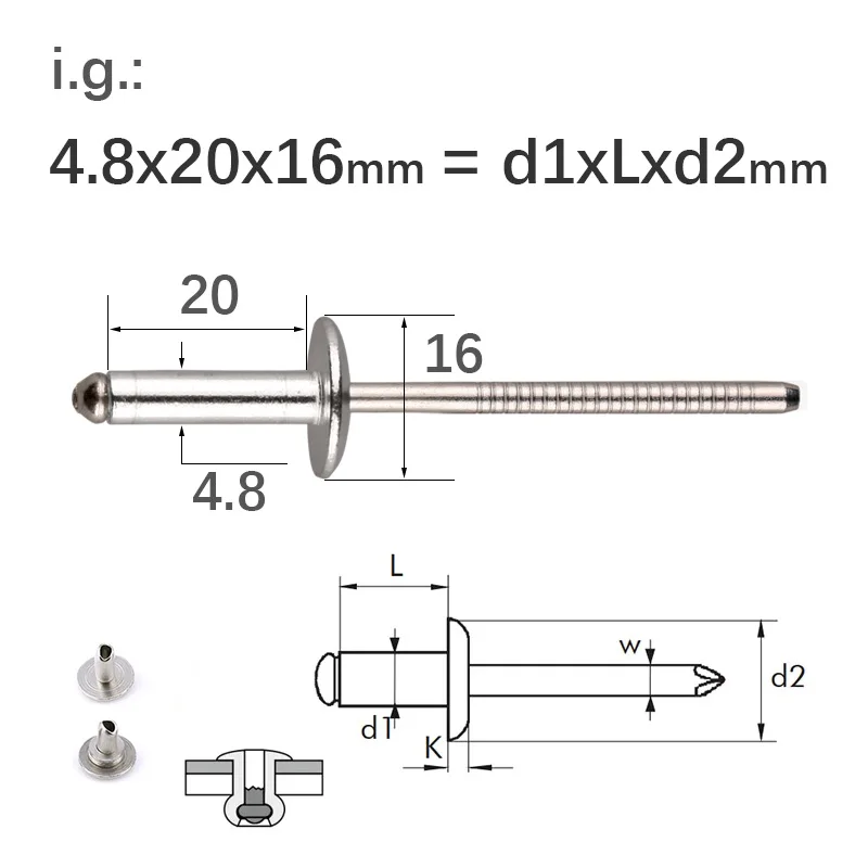 30/50Pcs Full Stainless Steel Large Flange Dome Head Blind Rivets