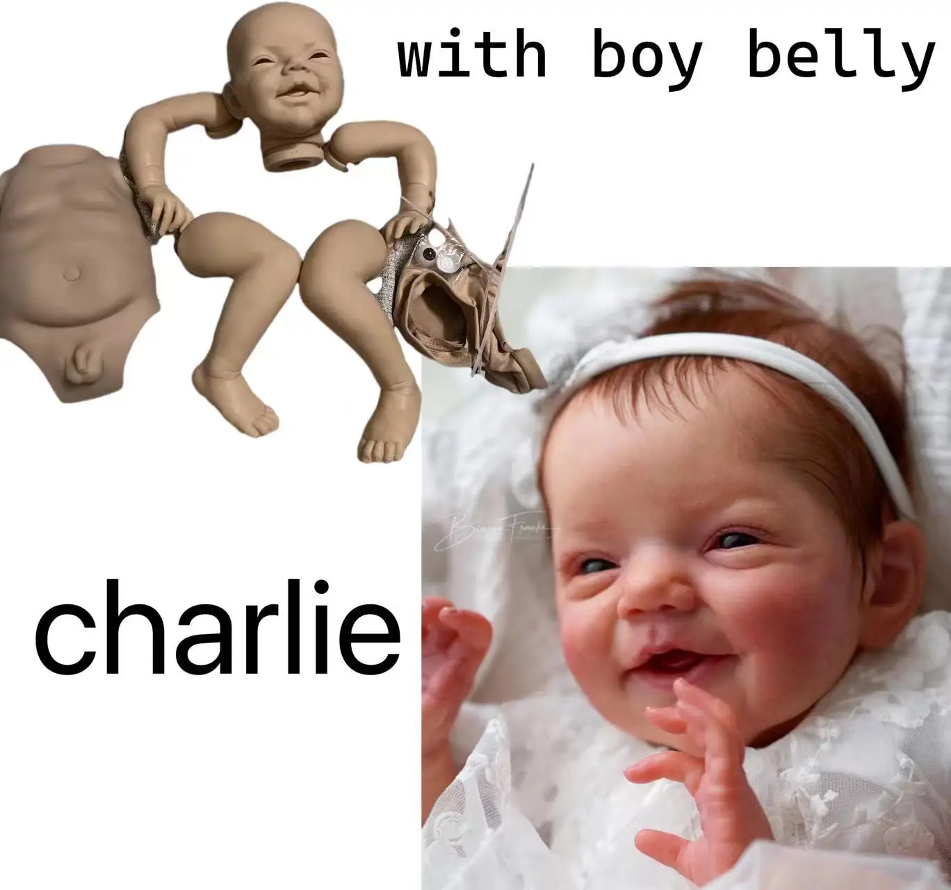 

【With Boy Belly Plate 】 In Stock 19.5inch Reborn Baby Doll Charlie Limited Sold Out Edition Unapinted Kit By Joanna Kazmierczak