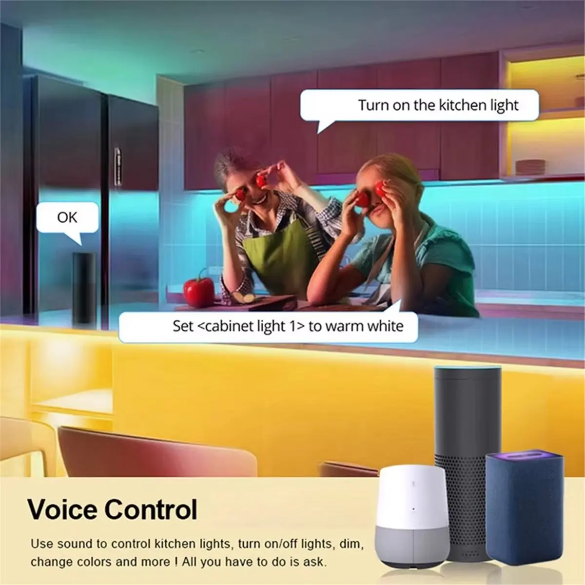 (Hope) V5-T DC12V 2…