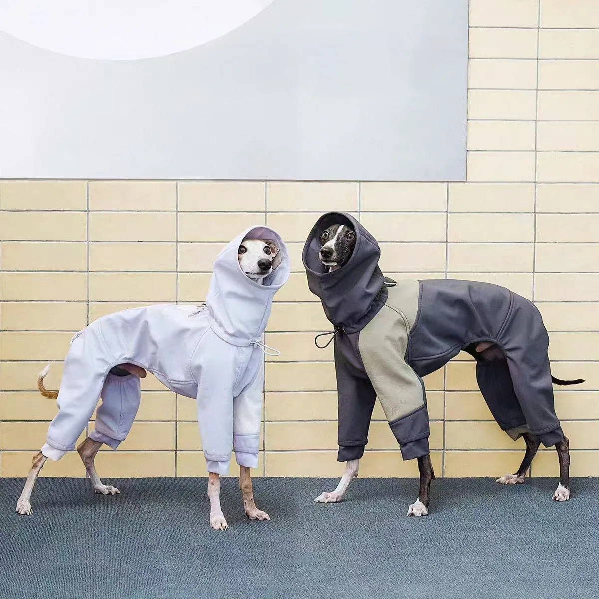 #38 Budget Puppy Coats for Smart Shoppers