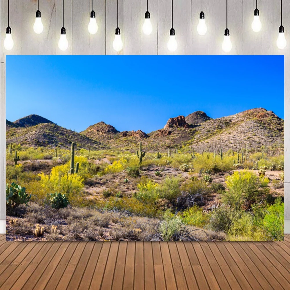 Desert Arid Region Cactus Rock Mountain Vegetation Scenery Photo Backdrop Portrait shooting Home Decor Photography Background