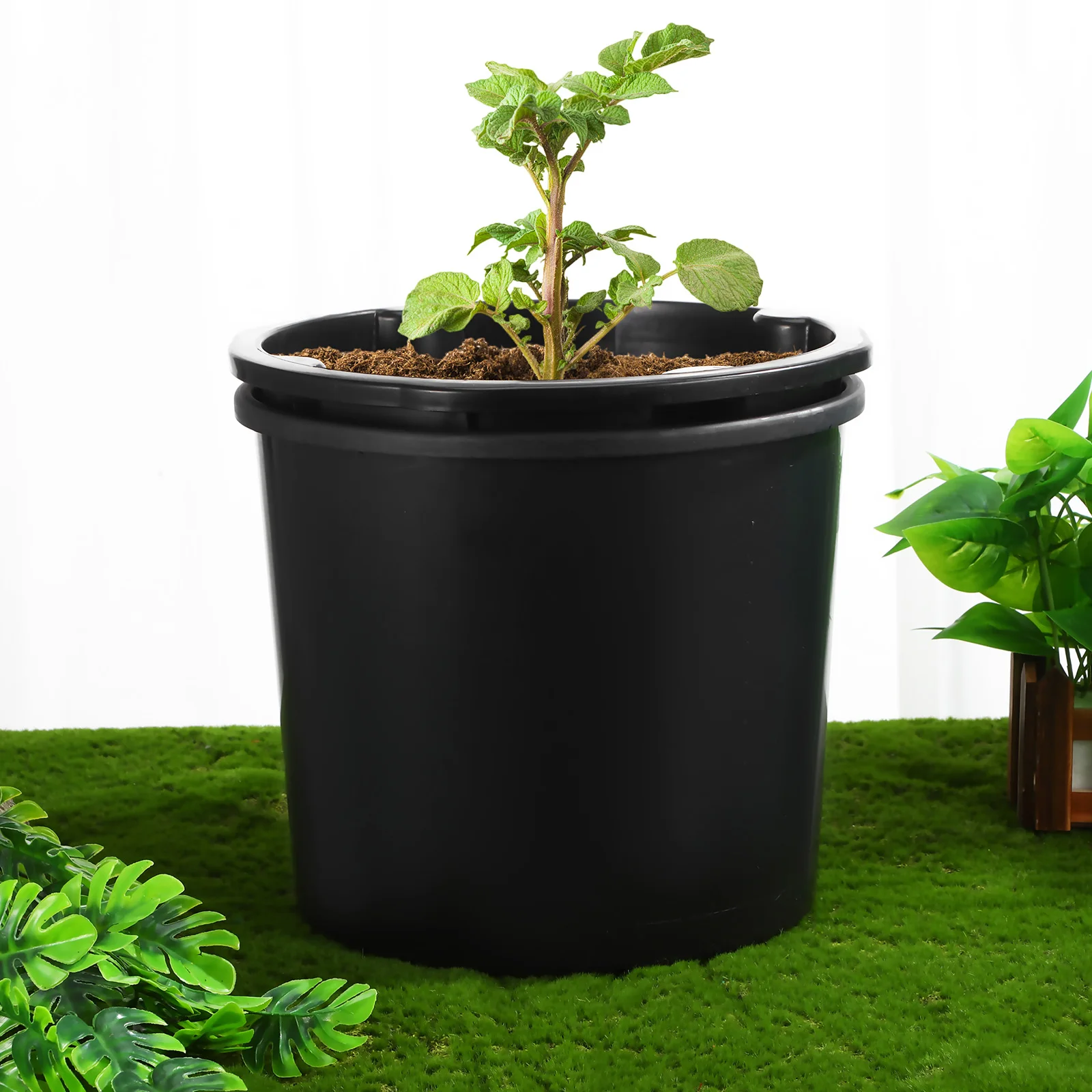 

1 set Potato Planting Bucket 1 Set PP Material Double Layer Pot for Growing Ginger Peanut microgreens Balcony Farm Container