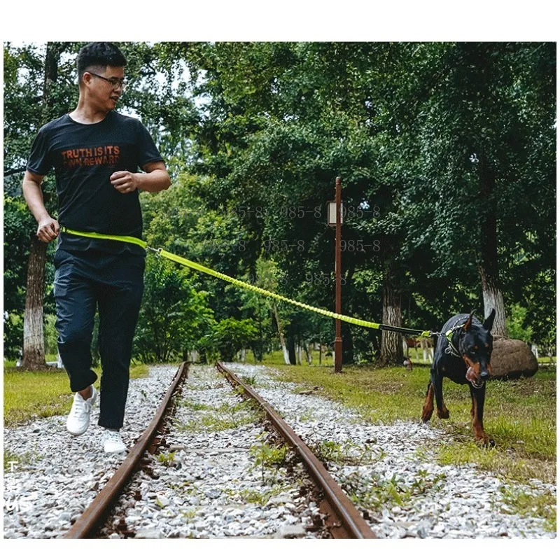 Small Medium Dog Retractable Running Traction Rope, Elastic Shock Absorbing Pet Walking Chain Daily Pet Supplies