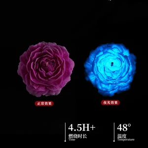 8最高の販売低温キャンドル-5