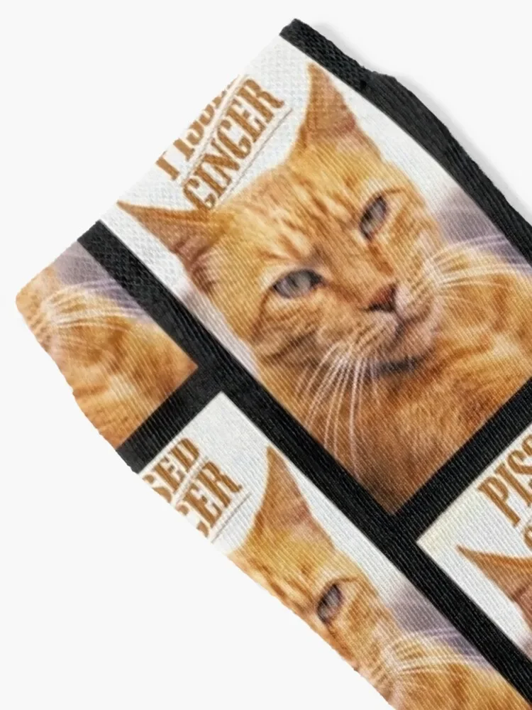 Pissed Ginger Cat Socks moving stockings cotton set Wholesale Socks Woman Men's