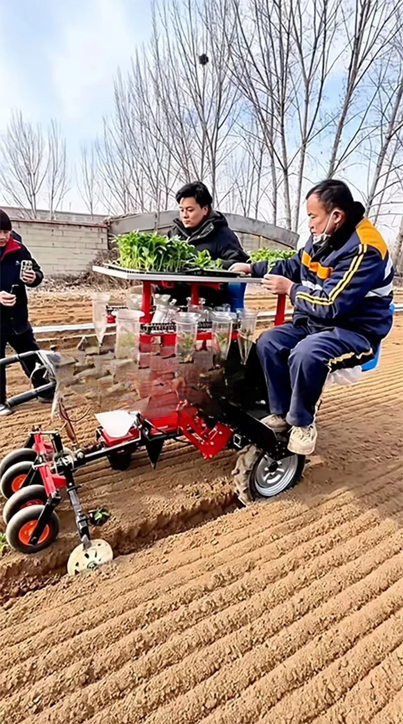 Seedle Transplanter Planting Machine Seedling Planter Seeder Manual Automatic Engine-Powered Vegetable Tomato Sowing