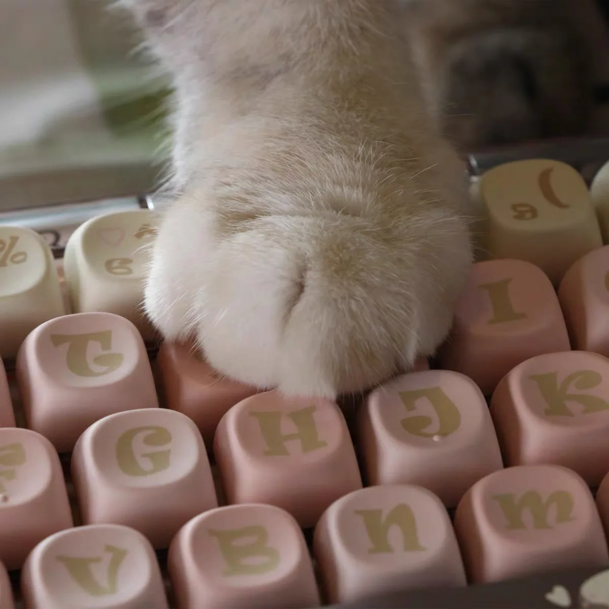 141 Keys MOA High Quality Keycaps Cute Key Cap Meow Square Thermal Sublimation Mechanical Keyboard Keyboard Accessories