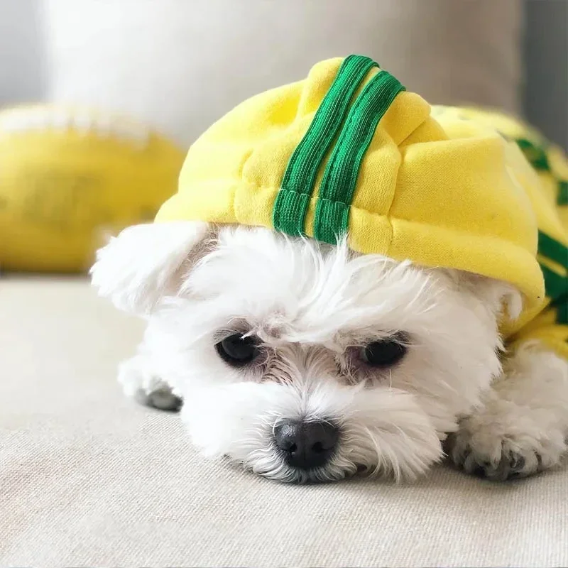 Hooded Pet Tracksuit 6