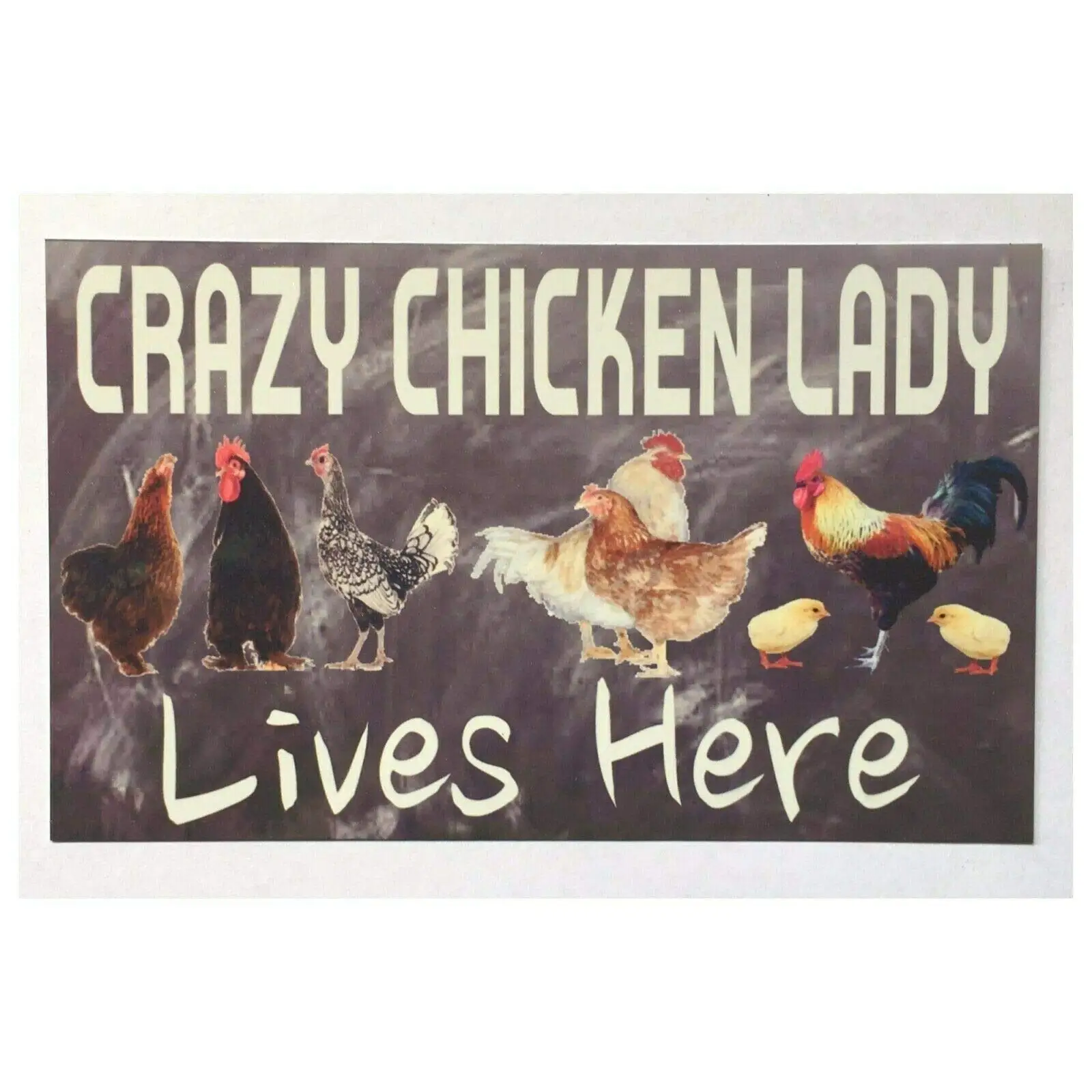 Tin Sign For New Vintage Retro Metal Sign Funny Crazy Chicken Lady Lives Here Farm Country Street Garage & Home Bar Club Ki sign