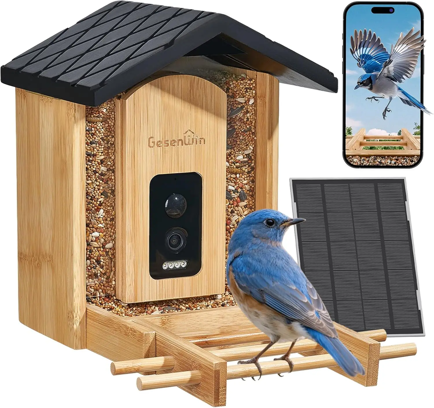 

Smart Bird Feeder with Camera & Solar Panel, AI Identifies 11,000+ Species, 2K HD Night Vision, Wireless Outdoor Birdhouse