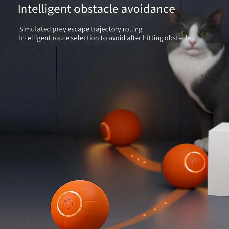 Chat Roulat Découvrez le Jouet Interactif Idéal pour Vos Membres à Poils